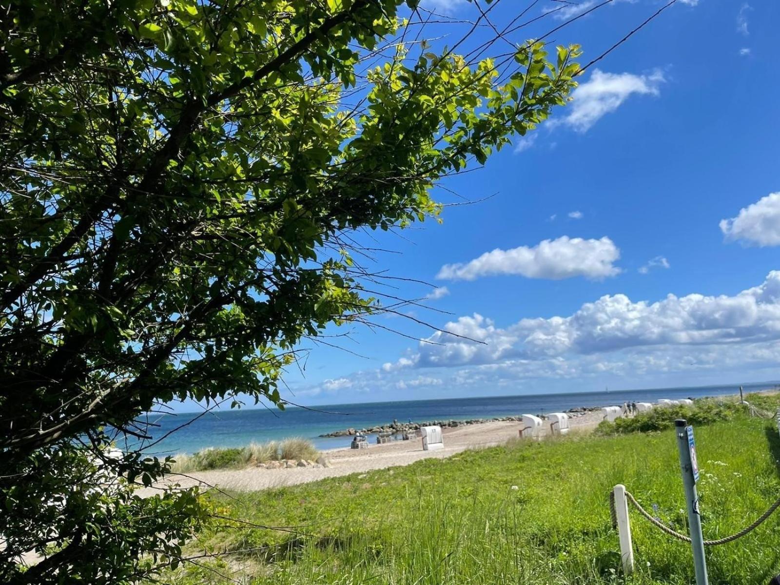 Ferien Am Strand, Urlaub An Der Ostsee Ferienwohnung Am Strand In Der Naehe Der Schlei, Umgebung Von Kappeln U Damp Brodersby-Goltoft Екстер'єр фото